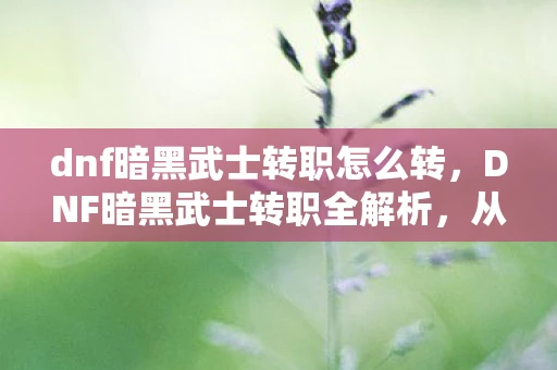 dnf暗黑武士转职怎么转,DNF暗黑武士转职全解析,从入门到精通的全方位指南 dnf暗黑武士转职怎么转,DNF暗黑武士转职全解析,从入门到精通的全方位指南