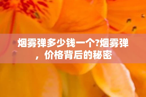 烟雾弹多少钱一个?烟雾弹,价格背后的秘密 烟雾弹多少钱一个?烟雾弹,价格背后的秘密