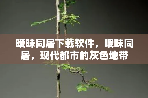 暧昧同居下载软件，暧昧同居，现代都市的灰色地带