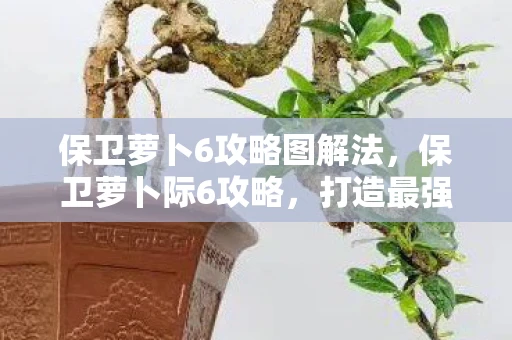 保卫萝卜6攻略图解法，保卫萝卜际6攻略，打造最强防御，守护你的萝卜王国