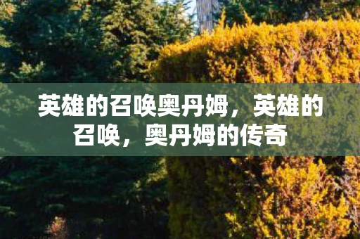 英雄的召唤奥丹姆，英雄的召唤，奥丹姆的传奇