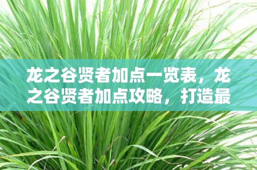 龙之谷贤者加点一览表,龙之谷贤者加点攻略,打造最强辅助职业 龙之谷贤者加点一览表,龙之谷贤者加点攻略,打造最强辅助职业
