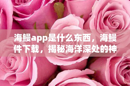 海鳗app是什么东西，海鳗件下载，揭秘海洋深处的神秘宝藏