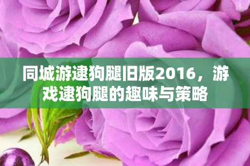 同城游逮狗腿旧版2016，游戏逮狗腿的趣味与策略