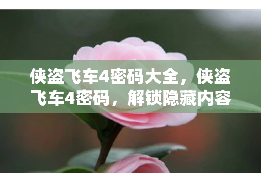 侠盗飞车4密码大全，侠盗飞车4密码，解锁隐藏内容，探索游戏深层秘密