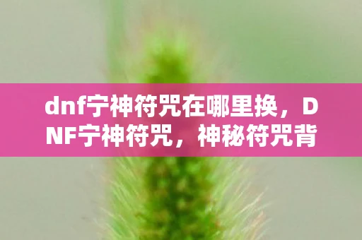 dnf宁神符咒在哪里换，DNF宁神符咒，神秘符咒背后的故事与效果解析