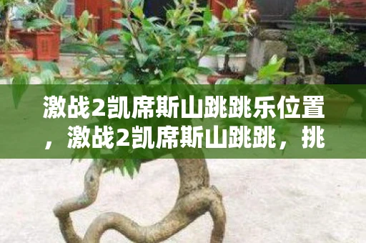 激战2凯席斯山跳跳乐位置,激战2凯席斯山跳跳,挑战与冒险的完美结合 激战2凯席斯山跳跳乐位置,激战2凯席斯山跳跳,挑战与冒险的完美结合