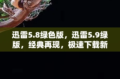 迅雷5.8绿色版，迅雷5.9绿版，经典再现，极速下载新体验
