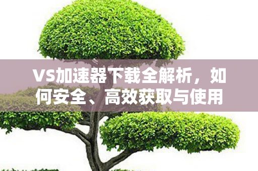 VS加速器下载全解析，如何安全、高效获取与使用