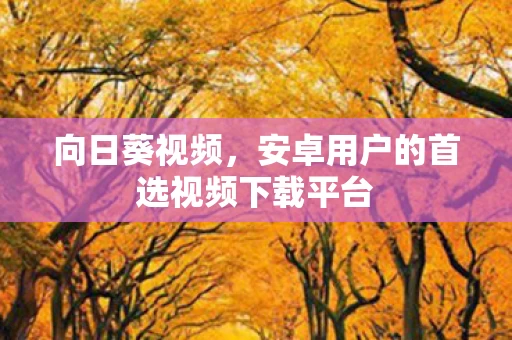 安卓用户的首选视频下载平台图片