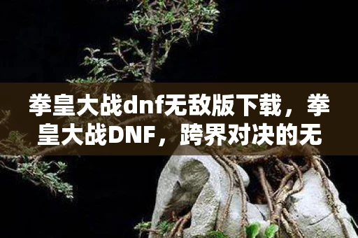 拳皇大战dnf无敌版下载，拳皇大战DNF，跨界对决的无限可能