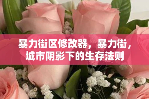 暴力街区修改器，暴力街，城市阴影下的生存法则