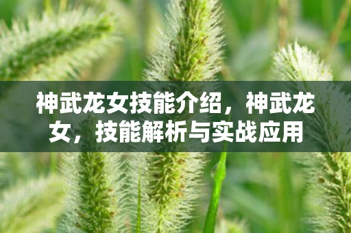 神武龙女技能介绍，神武龙女，技能解析与实战应用