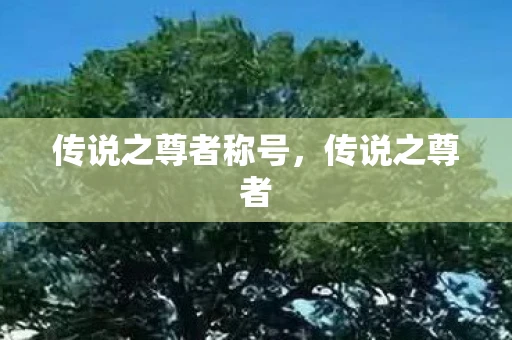 传说之尊者称号，传说之尊者