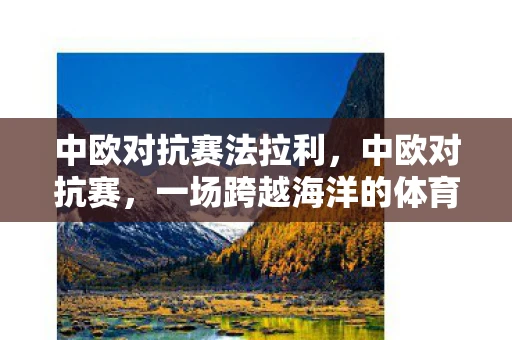 中欧对抗赛法拉利,中欧对抗赛,一场跨越海洋的体育盛宴 中欧对抗赛法拉利,中欧对抗赛,一场跨越海洋的体育盛宴