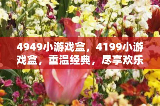 4949小游戏盒,4199小游戏盒,重温经典,尽享欢乐 4949小游戏盒,4199小游戏盒,重温经典,尽享欢乐