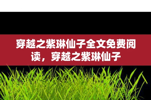 穿越之紫琳仙子全文免费阅读，穿越之紫琳仙子