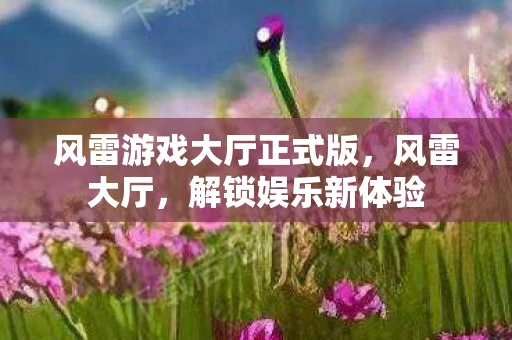 风雷游戏大厅正式版，风雷大厅，解锁娱乐新体验