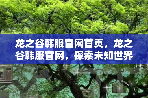 龙之谷韩服官网首页，龙之谷韩服官网，探索未知世界的奇幻之旅