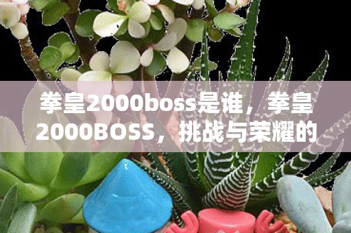 拳皇2000boss是谁,拳皇2000BOSS,挑战与荣耀的巅峰 拳皇2000boss是谁,拳皇2000BOSS,挑战与荣耀的巅峰
