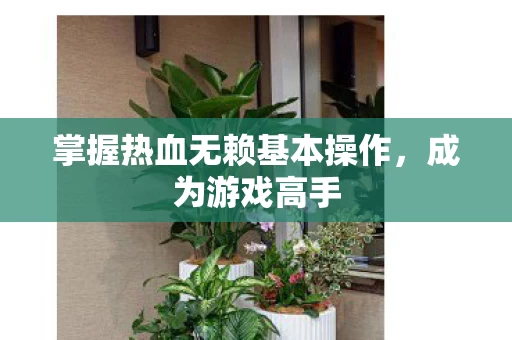 掌握热血无赖基本操作图片