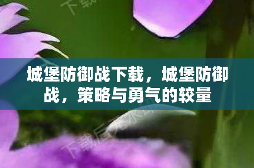 城堡防御战下载，城堡防御战，策略与勇气的较量