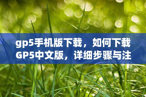 gp5手机版下载,如何下载GP5中文版,详细步骤与注意事项 gp5手机版下载,如何下载GP5中文版,详细步骤与注意事项