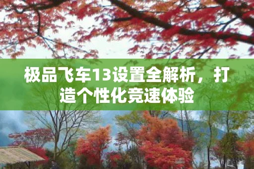 极品飞车13设置全解析图片