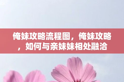 俺妹攻略流程图，俺妹攻略，如何与亲妹妹相处融洽