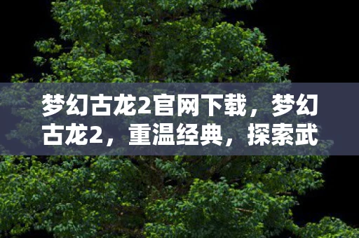 梦幻古龙2官网下载,梦幻古龙2,重温经典,探索武侠世界的奇妙之旅 梦幻古龙2官网下载,梦幻古龙2,重温经典,探索武侠世界的奇妙之旅