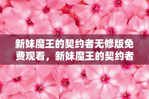 新妹魔王的契约者无修版免费观看，新妹魔王的契约者无修版，一场跨越次元的冒险
