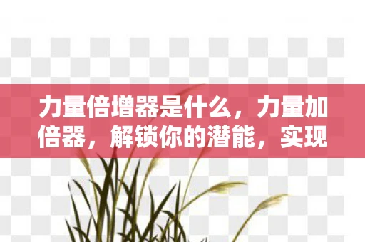 力量倍增器是什么，力量加倍器，解锁你的潜能，实现目标的力量倍增