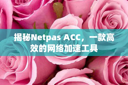 揭秘Netpas ACC,一款高效的网络加速工具 揭秘Netpas ACC,一款高效的网络加速工具