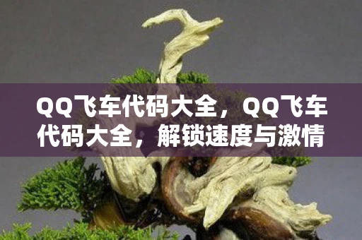 QQ飞车代码大全，QQ飞车代码大全，解锁速度与激情的秘籍