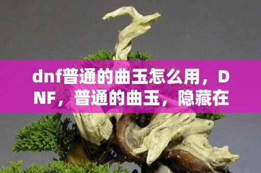 dnf普通的曲玉怎么用,DNF,普通的曲玉,隐藏在游戏深处的秘密 dnf普通的曲玉怎么用,DNF,普通的曲玉,隐藏在游戏深处的秘密