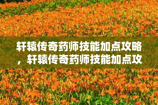 轩辕传奇药师技能加点攻略，轩辕传奇药师技能加点攻略，打造最强辅助！