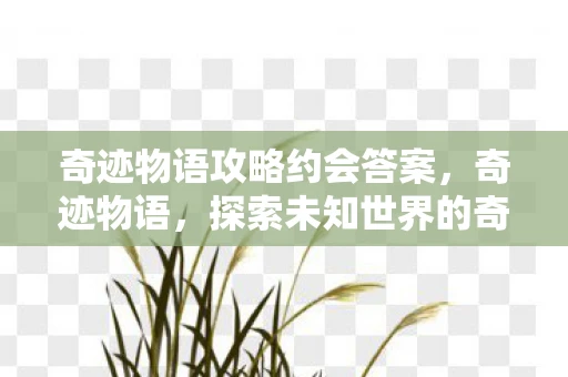 奇迹物语攻略约会答案，奇迹物语，探索未知世界的奇幻之旅