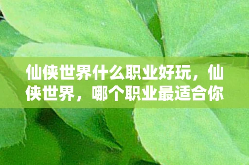 仙侠世界什么职业好玩，仙侠世界，哪个职业最适合你？