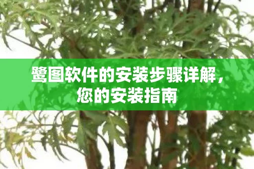 鹭图软件的安装步骤详解图片