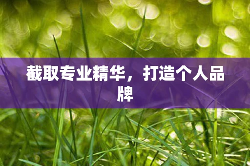 截取专业精华,打造个人品牌 截取专业精华,打造个人品牌