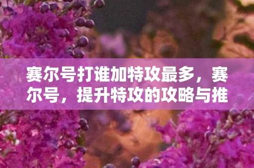 赛尔号打谁加特攻最多,赛尔号,提升特攻的攻略与推荐 赛尔号打谁加特攻最多,赛尔号,提升特攻的攻略与推荐
