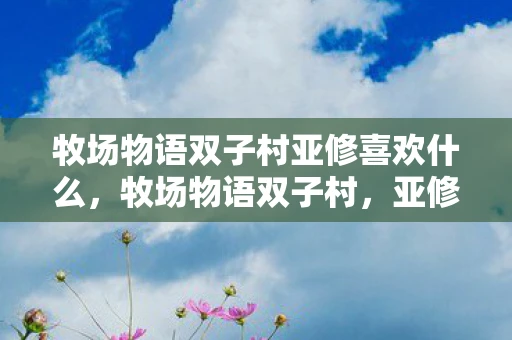 牧场物语双子村亚修喜欢什么,牧场物语双子村,亚修的故事 牧场物语双子村亚修喜欢什么,牧场物语双子村,亚修的故事