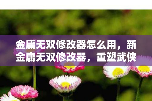 金庸无双修改器怎么用，新金庸无双修改器，重塑武侠世界的神器