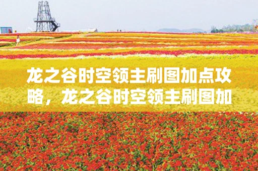 龙之谷时空领主刷图加点攻略,龙之谷时空领主刷图加点攻略 龙之谷时空领主刷图加点攻略,龙之谷时空领主刷图加点攻略