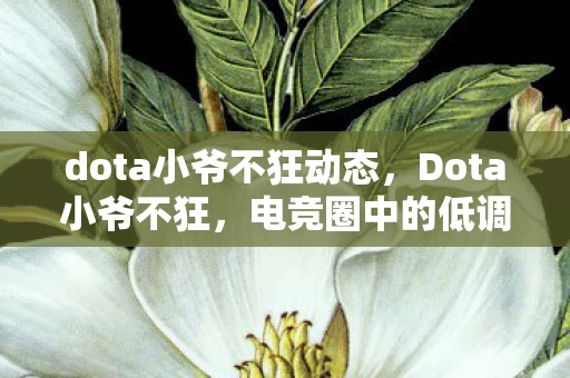 dota小爷不狂动态，Dota小爷不狂，电竞圈中的低调传奇