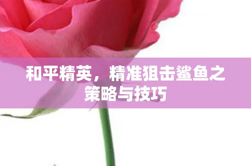 精准狙击鲨鱼之策略与技巧图片
