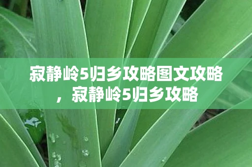 寂静岭5归乡攻略图文攻略，寂静岭5归乡攻略