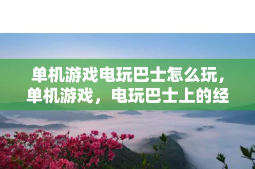 单机游戏电玩巴士怎么玩,单机游戏,电玩巴士上的经典回忆 单机游戏电玩巴士怎么玩,单机游戏,电玩巴士上的经典回忆