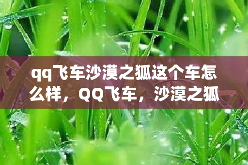 qq飞车沙漠之狐这个车怎么样，QQ飞车，沙漠之狐的极速挑战