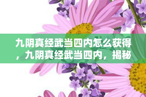 九阴真经武当四内怎么获得，九阴真经武当四内，揭秘金庸武侠世界的内功奥秘